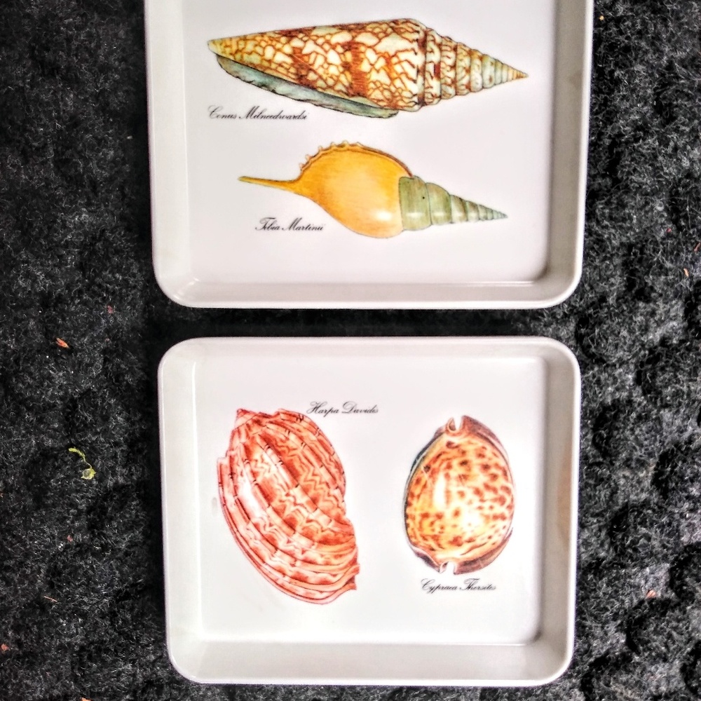 Melbel Trays for Snacks or Condiments